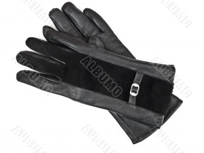 winter rhings winter rhings