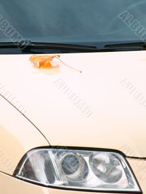 headlight and leaf at bonnet