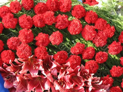 Bright red flowers with green leaves composition background