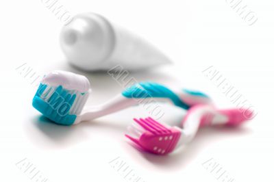 toothpaste and toothbrushes
