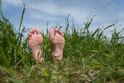 Barefooted foot in grass