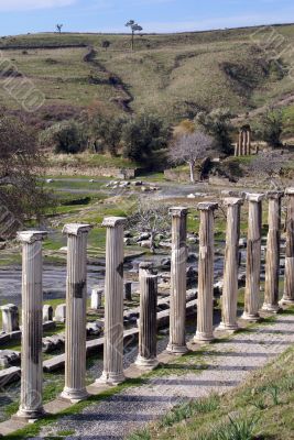 Columns Columns