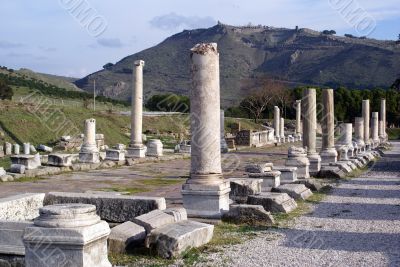 Columns Columns