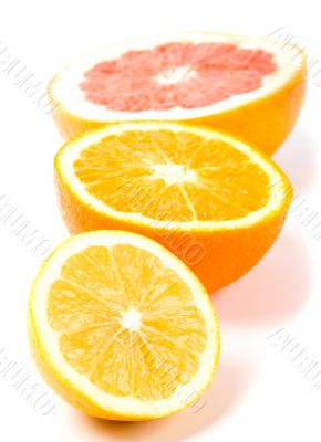 lemon, orange and grapefruit