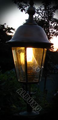 lamplight