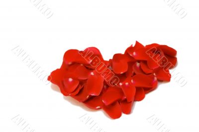 Heart symbol made with the red roses petals