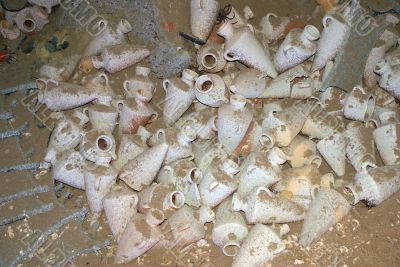 Amphoras Amphoras