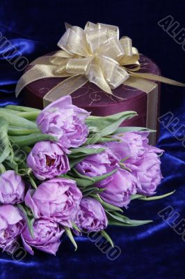Gift. Present. Violet tulips, purple box Gift. Present. Violet tulips, purple box