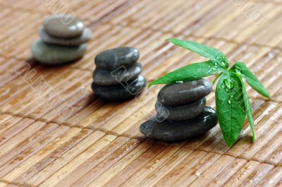 spa stones with green leaf