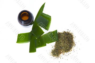 aloe vera - alternative therapy
