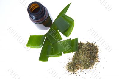 aloe vera - alternative therapy