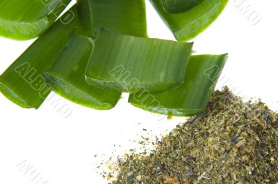 aloe vera - alternative therapy
