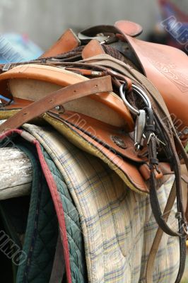 Saddle Up / Horse Equipment