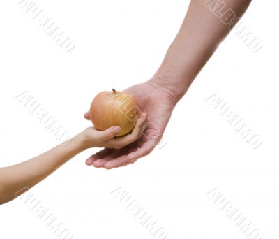 Red apple for my son Red apple for my son