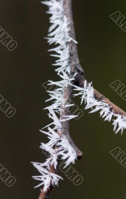Ice crystals