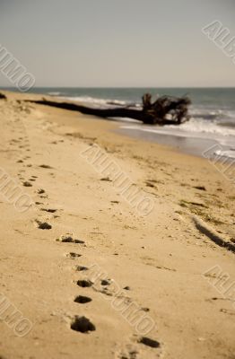 sand beach view