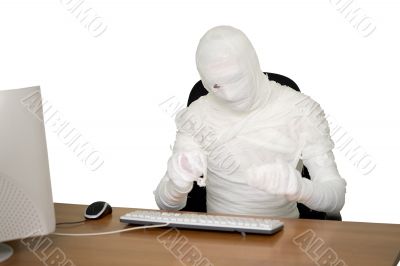 Mummy is working on computer