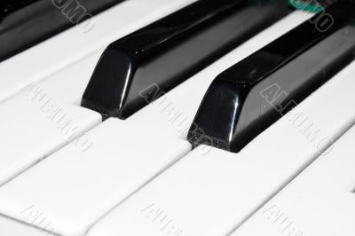 Piano keyboard Piano keyboard