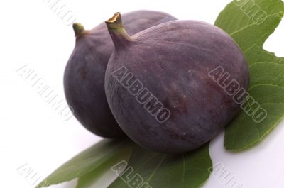 fresh figs