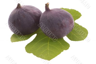 fresh figs