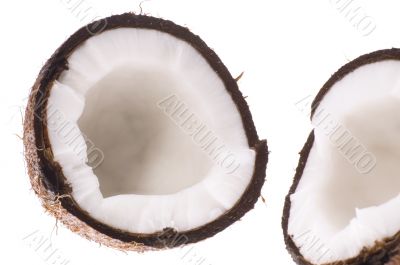 open coconut