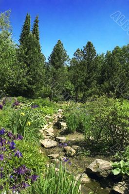 summer landscape. river