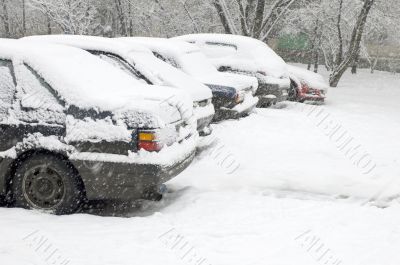 car in snowfall