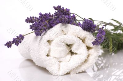 lavender bath