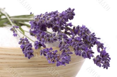 lavender bath