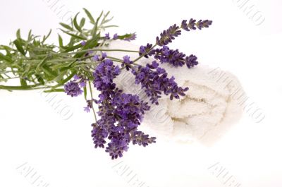 lavender bath
