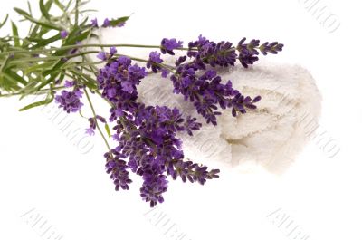 lavender bath