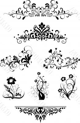 Floral elements