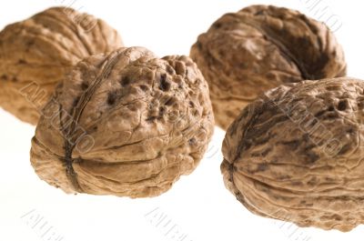 walnuts