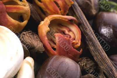 aromatic herbs and spices