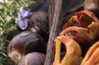 aromatic herbs and spices