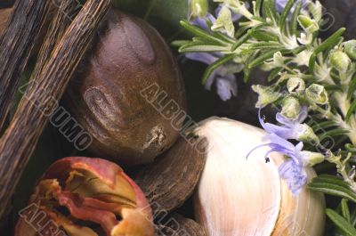 aromatic herbs and spices