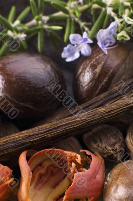 aromatic herbs and spices