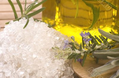 herbs and spices. rosemary, lavender, salt and olive