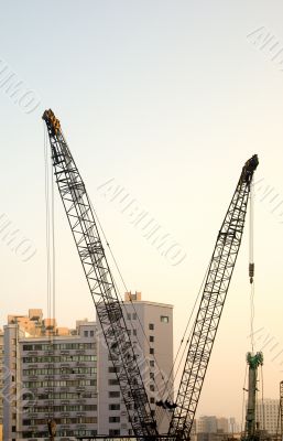 shanghai construction crane