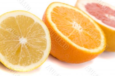  lemon, orange and grapefruit