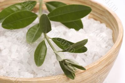 spa. bath salt and olive branch spa. bath salt and olive branch