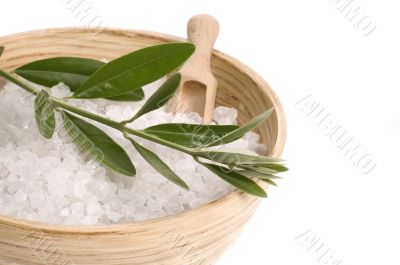 spa. bath salt and olive branch