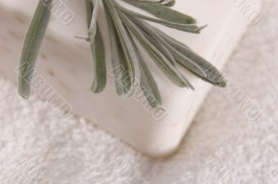 milk soap and fresh herbs