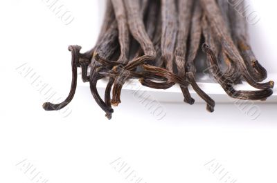 vanilla beans