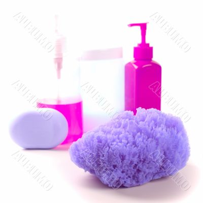 sponge, soap and body lotion