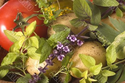 cut fresh herbs and vegatables