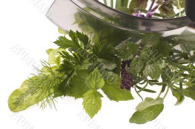 chopping fresh herbs.