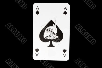 Ace of Spades Ace of Spades