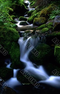 Mountain Stream Mountain Stream