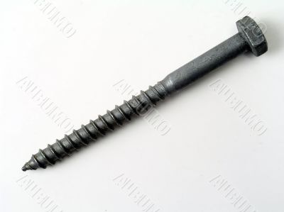Screw Screw